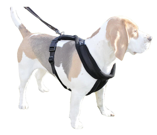 Miro Makauri Premium Fleece Padded Dog Harness-Leadingdog