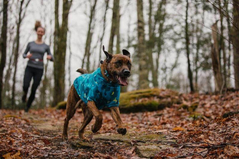 Ruffwear Climate Changer Fleece Dog Jacket by Ruffwear