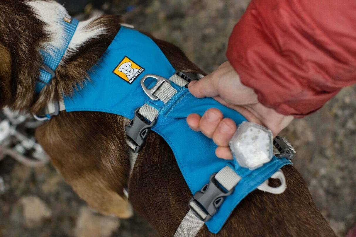 Ruffwear Flagline Harness - lightweight, multi-use harness by Ruffwear