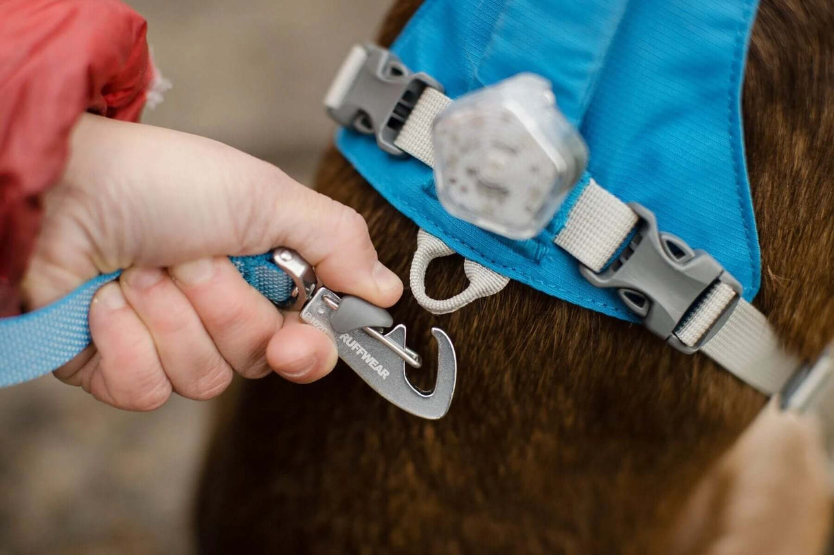 Ruffwear Flagline Harness - lightweight, multi-use harness by Ruffwear