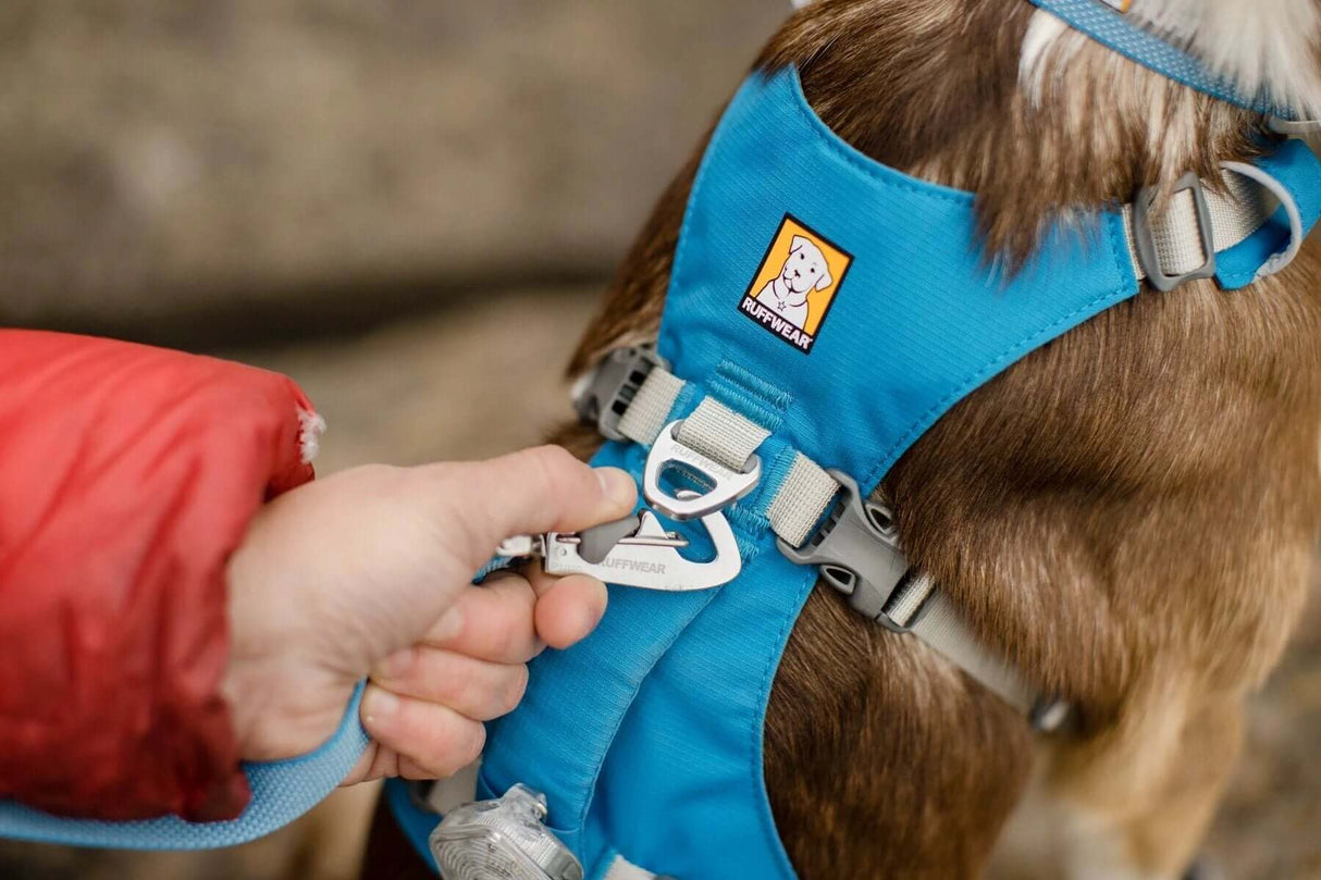 Ruffwear Flagline Harness - lightweight, multi-use harness by Ruffwear