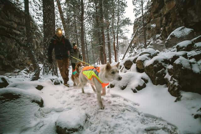 Ruffwear Lumenglow Hi-Viz waterproof Dog Jacket by Ruffwear