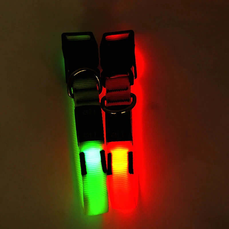 Miro & Makauri Orange LED Flashing Dog Collars by Miro & Makauri