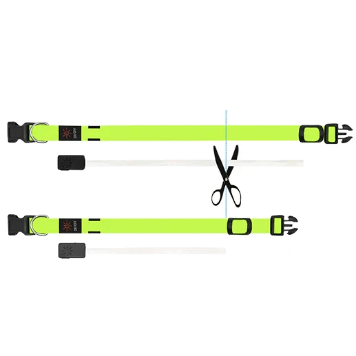 Miro & Makauri Orange LED Flashing Dog Collars by Miro & Makauri