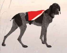 Visi-Vest - Dog Reflective Clothing by Mendota