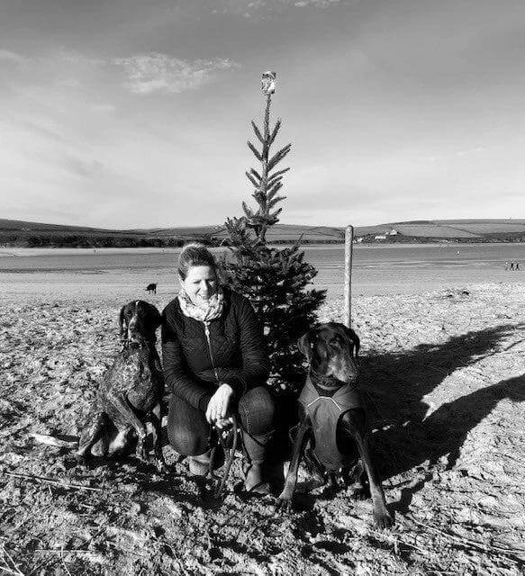 Leading Dog Gift cards by Leadingdog