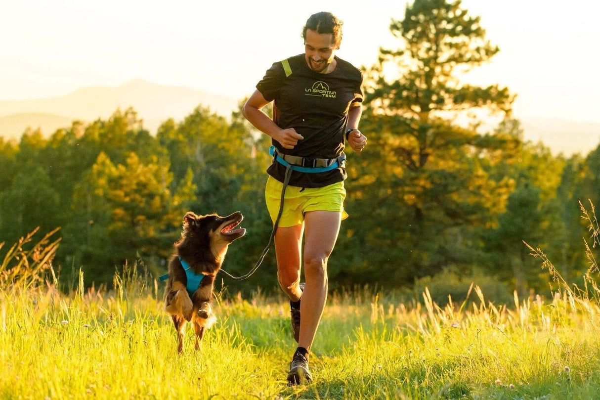 Buy and Save - Ruffwear Running Set with Harness by Leadingdog