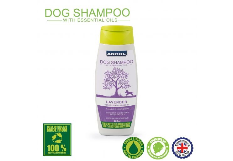 Ancol Lavender Dog Shampoo With Aloe Vera And Essential Oils 200 Ml Up To 20 Washes Made In UK Recycled Bottle by Ancol