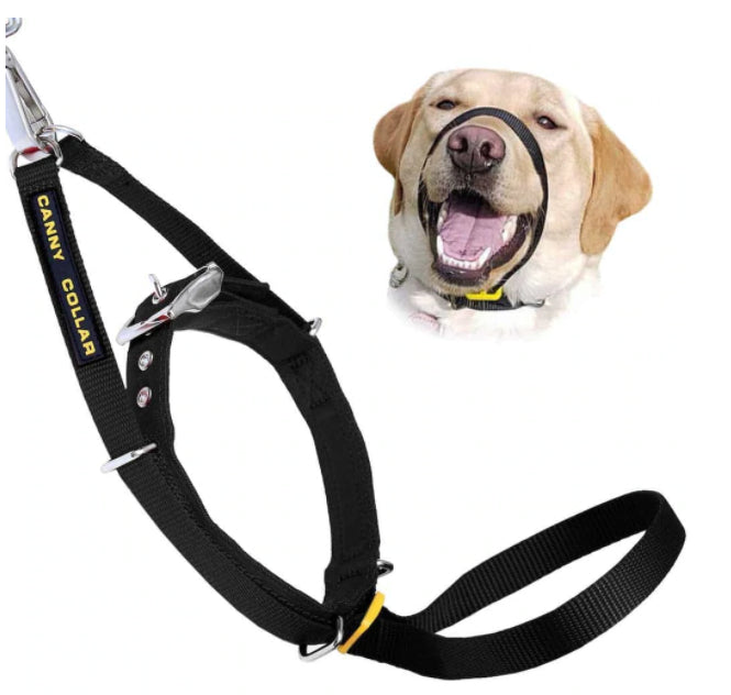 Rspca top dog harness