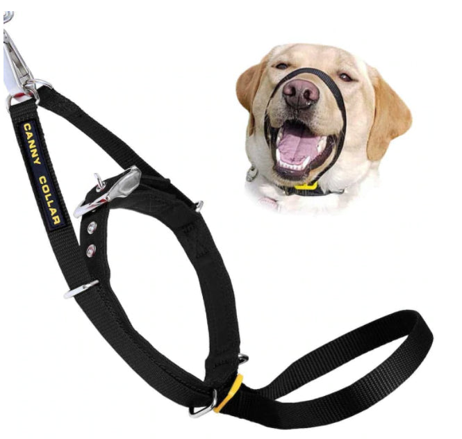 Canny Collar-Leadingdog