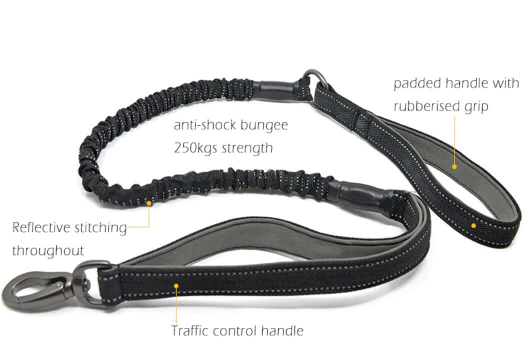 Miro & Makauri Anti Shock Bungee Dog Lead with Traffic Grip by Miro & Makauri
