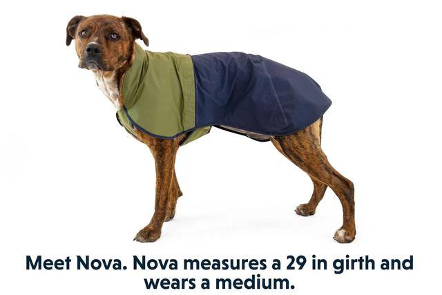 Ruffwear Sun Shower Waterproof Dog Jacket by Ruffwear