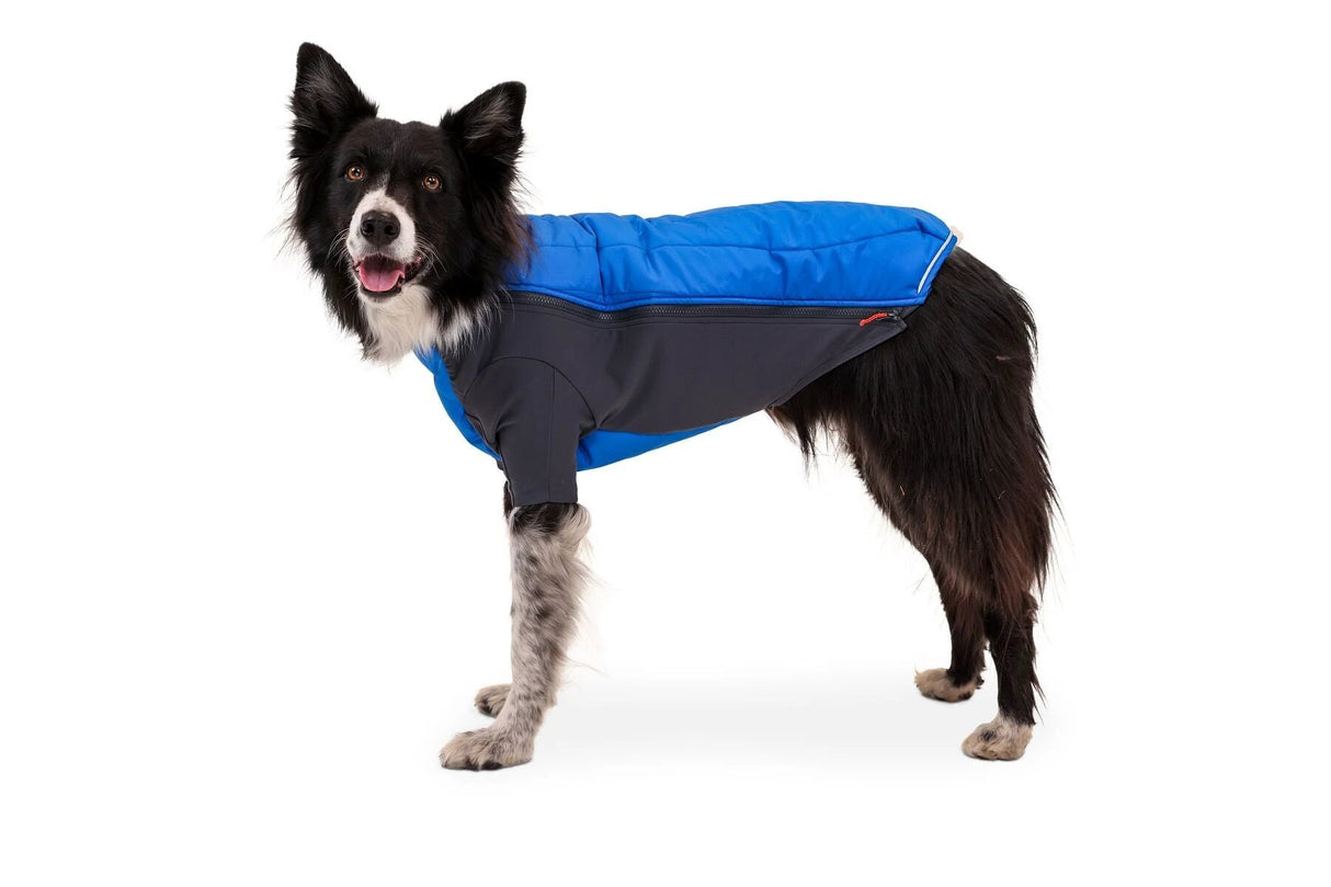 Ruffwear Powder Hound insulated Dog Jacket by Ruffwear