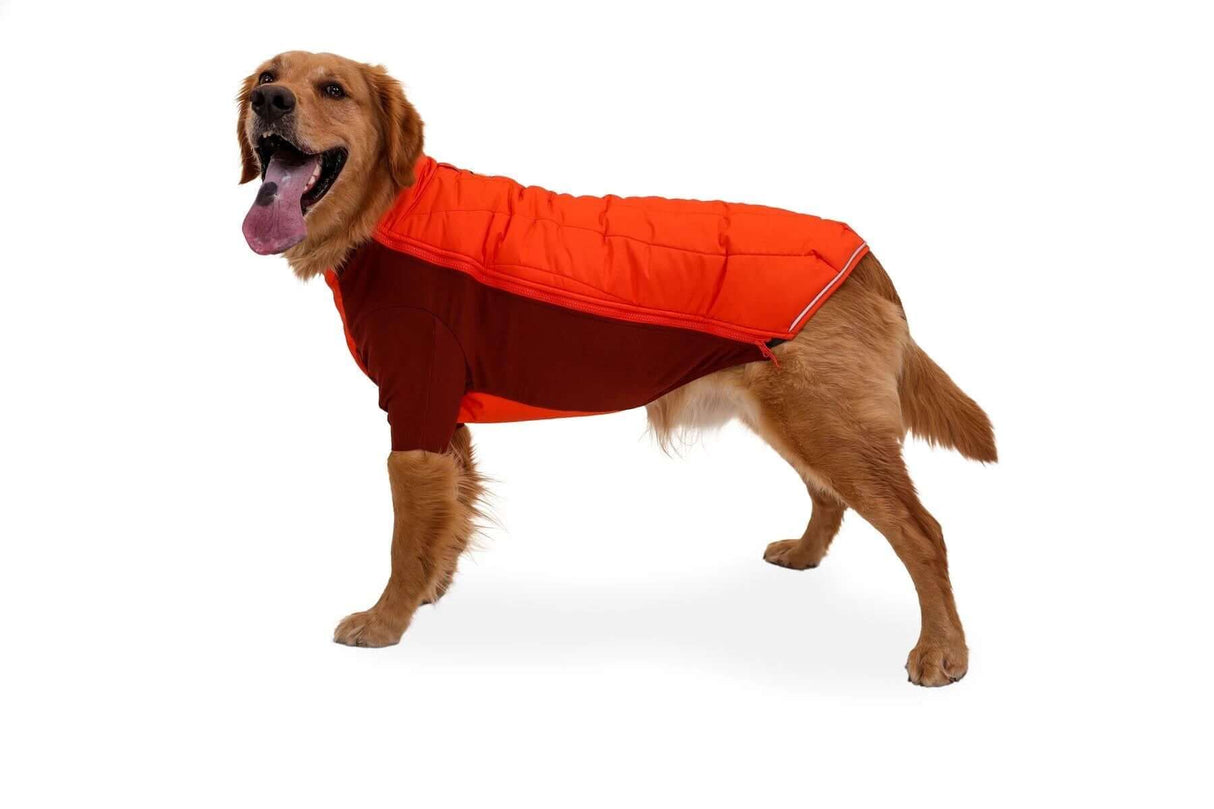 Ruffwear Powder Hound insulated Dog Jacket by Ruffwear