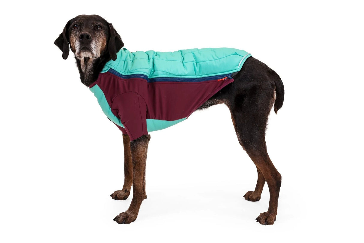 Ruffwear Powder Hound insulated Dog Jacket by Ruffwear