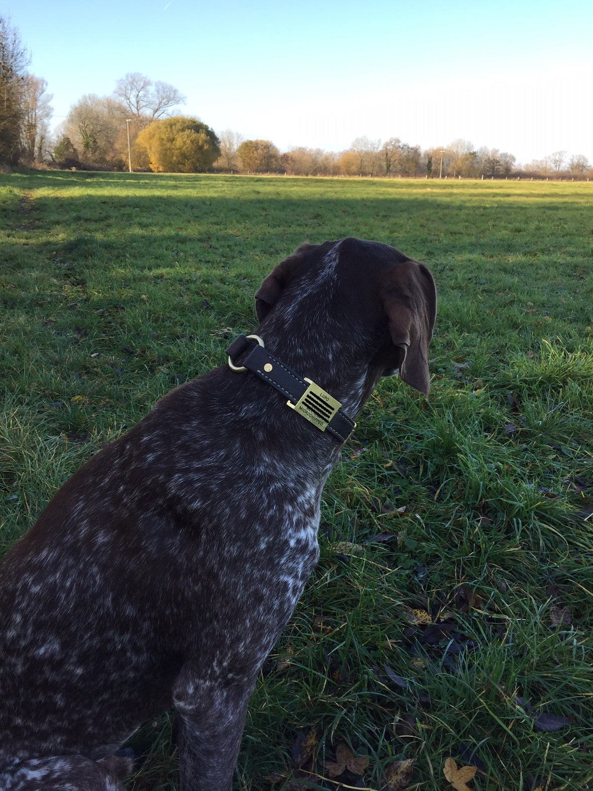 The Importance of Identification