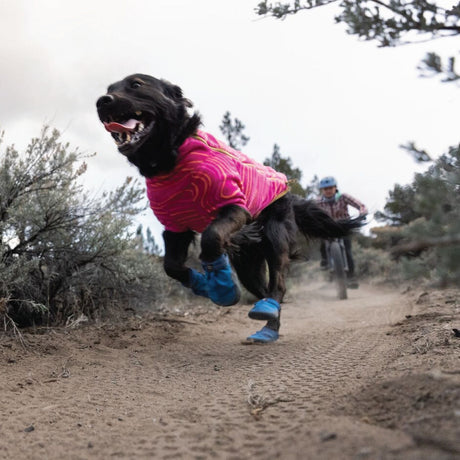 A happy dog wearing Ruffwear boots running on a sandy path while enjoying outdoor adventure with a cyclist.