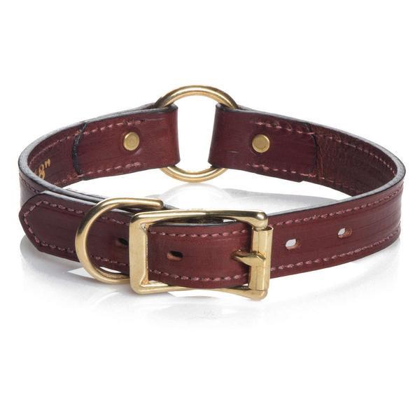 Best Sellers: premium leather dog collar with gold hardware and buckle for comfort and style.