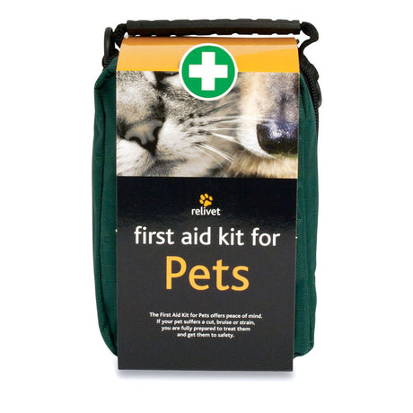 First Aid