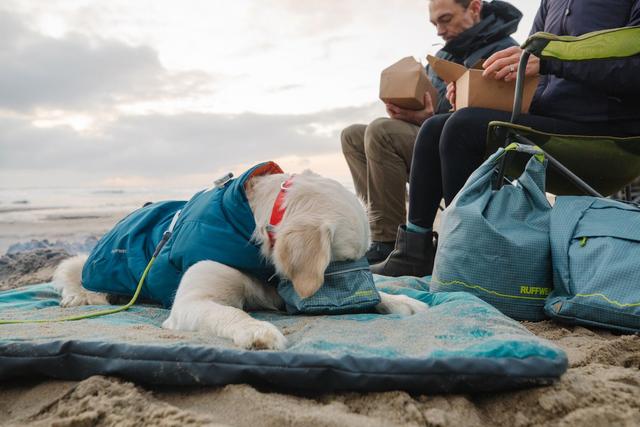 Travel dog beds 