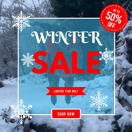 On Sale - Exciting Sale Prices