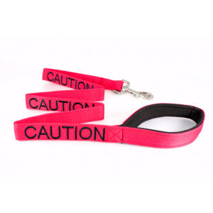 Colour coded dog warning leads