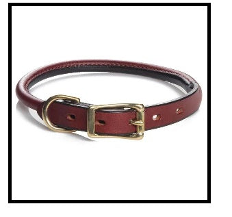 Dog Collars