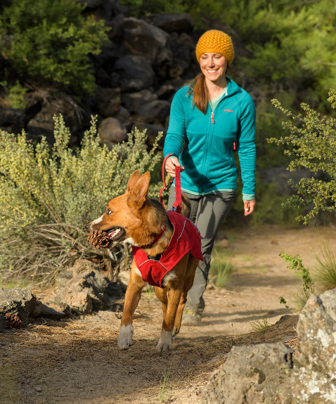 Woman walking a dog using Multi-functional Dog Leads on a hiking trail surrounded by greenery.