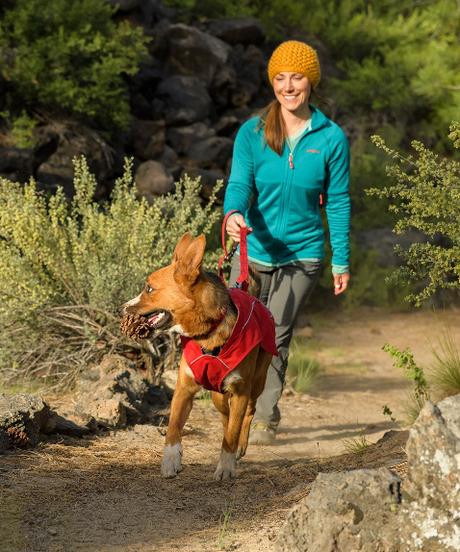 Multi-functional Dog Leads
