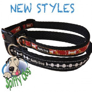 Spiffy Dog