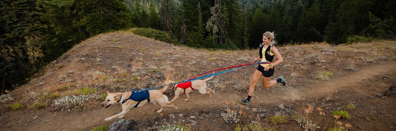 Running with Your Dog