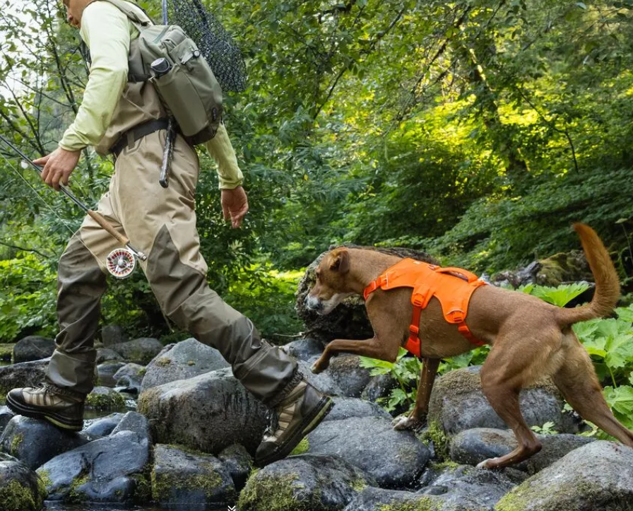 Hound and Houdini Harnesses