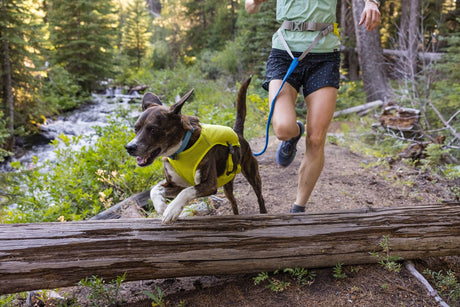 Hands free dog leads