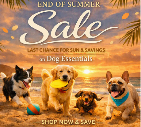 End of Summer Sale
