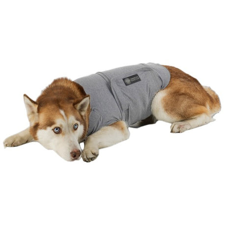 American Kennel Club Calming Coat