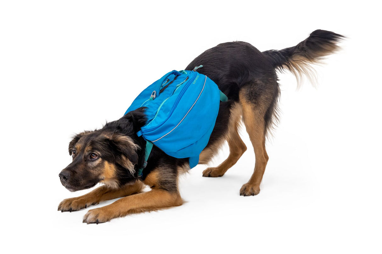 Ruffwear Approach Dog Backpack