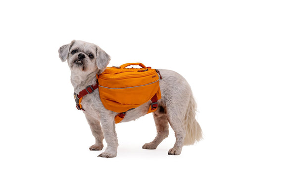 Ruffwear Approach Dog Backpack