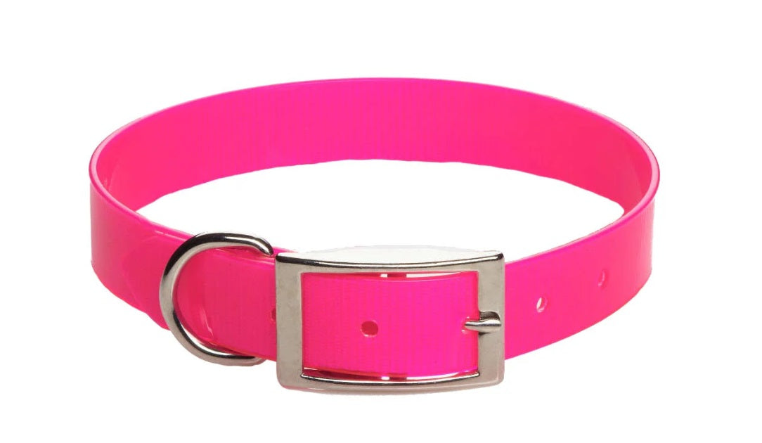 Mendota Biothane Dog Collar