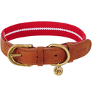 Full Grain Leather & Polyester Dog Collar-4