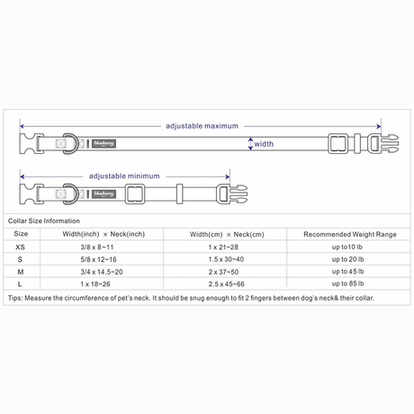 Dogs And Cats Co Double D-Ring Dog Collar -Must-Have For All Dogs by Blueberry Pet