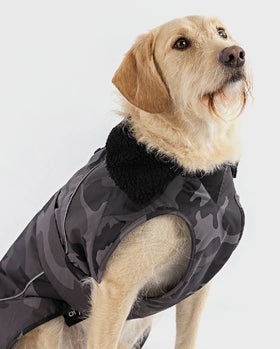 Buy black-camouflage-black The Dryrobe Dog Jacket - waterproof and wind-resistant