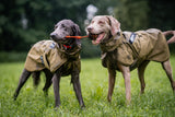 Non-stop dogwear Fjord raincoat WD