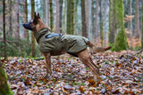 Non-stop dogwear Glacier dog jacket WD