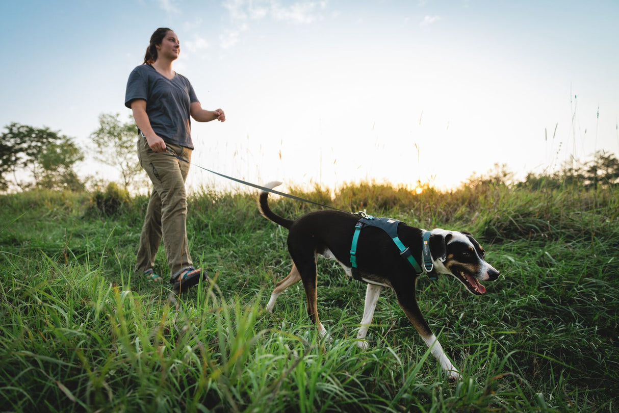 Ruffwear Hi & Light Lightweight Dog Harness