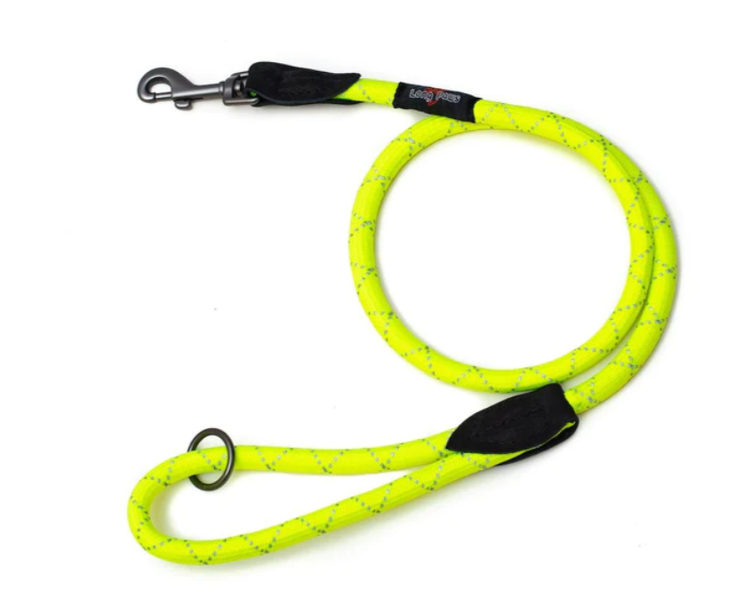 Long Paws Neon Rope Lead