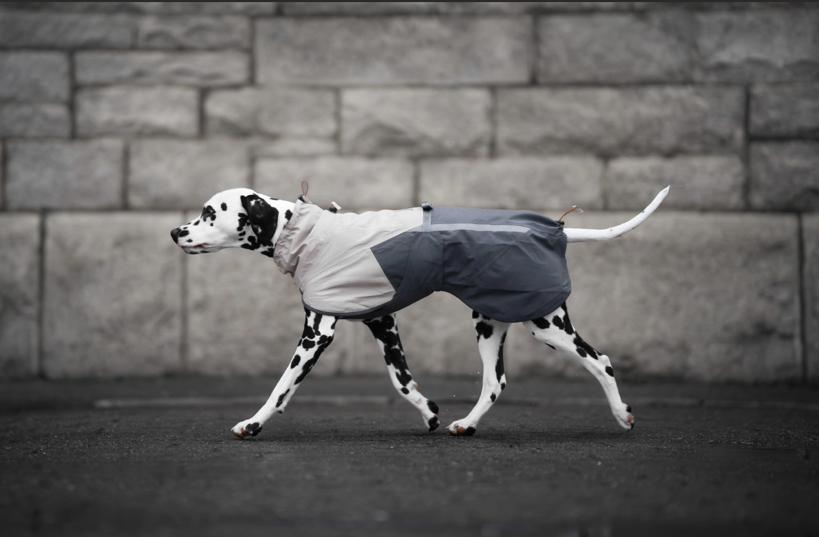 Non-stop dogwear Fjord 2.0 raincoat for dogs