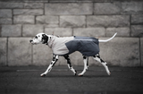 Non-stop dogwear Fjord 2.0 raincoat for dogs