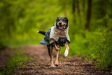 Non-stop dogwear Fjord 2.0 raincoat for dogs