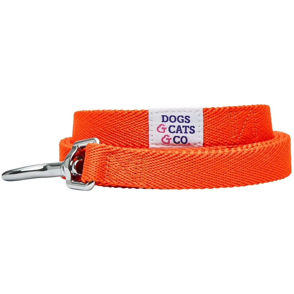 Dogs And Cats Co Classic Chic Solid Dog Leash 4 Feet by Blueberry Pet