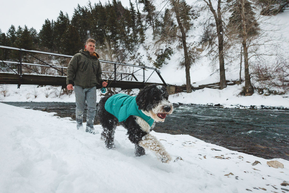 Ruffwear Quinzee - weather-resistant, insulated Dog Jacket